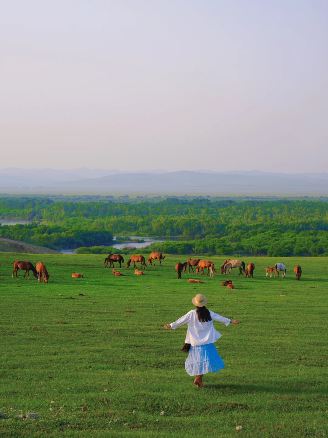 live｜离开呼伦贝尔的后劲比失恋还大😭