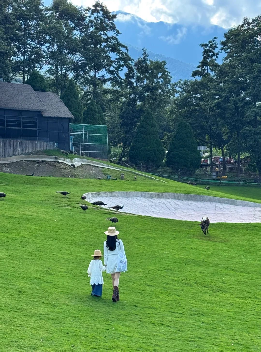 带娃去大理 不费妈的旅游攻略（一）🔥