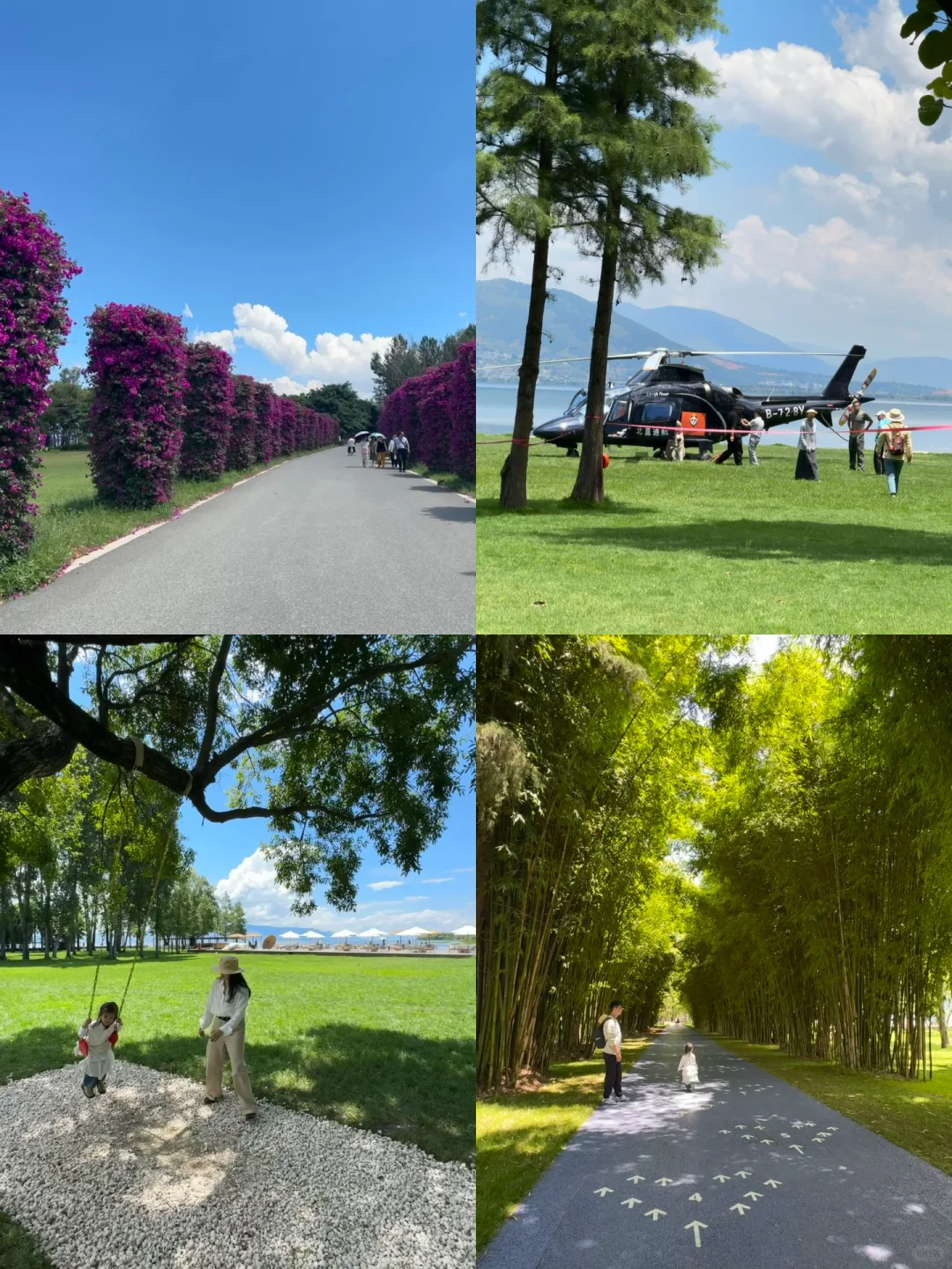 带娃去大理 不费妈的旅游攻略（一）🔥