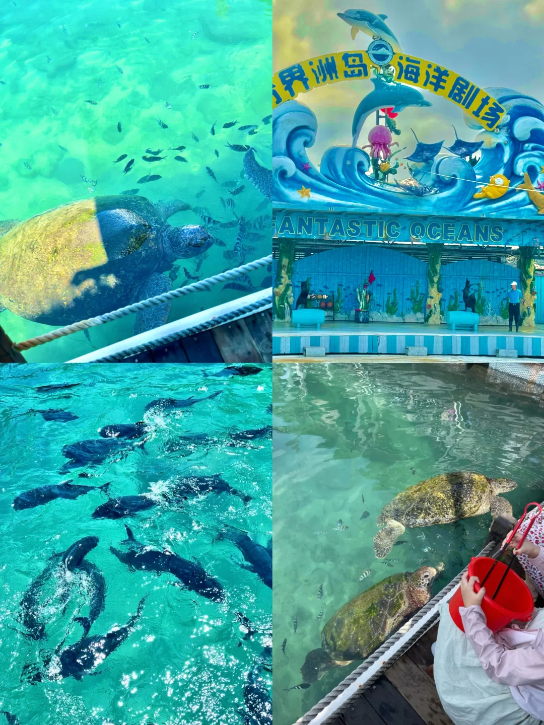 今年暑假，我只想带娃去一个地方：海南陵水