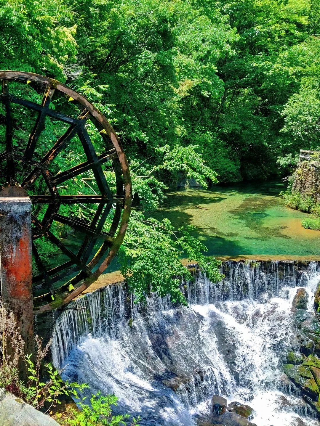 躲进18℃神农架💦小众无人的避暑秘境