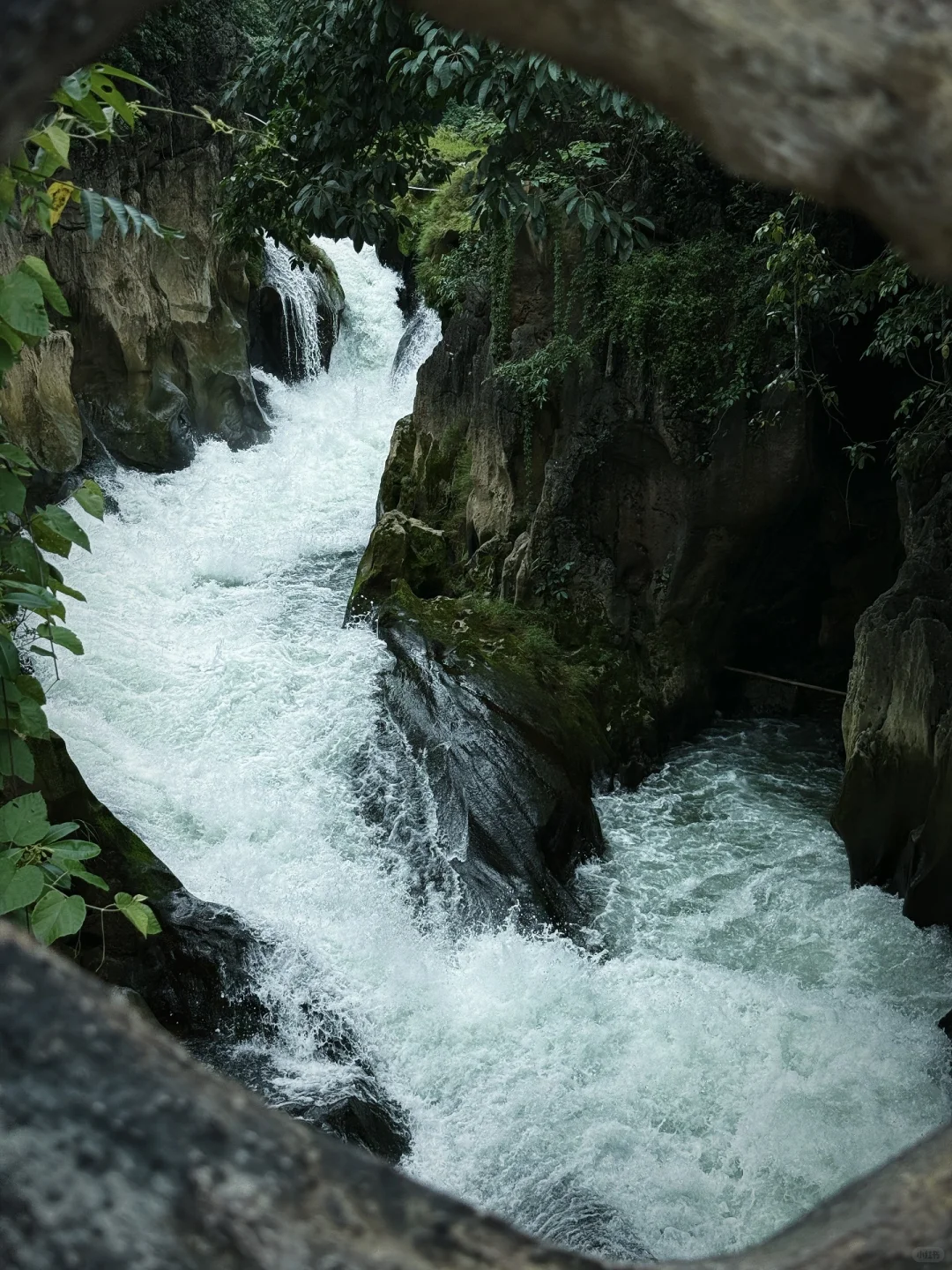 语文课本没有骗我！但也没告诉我…