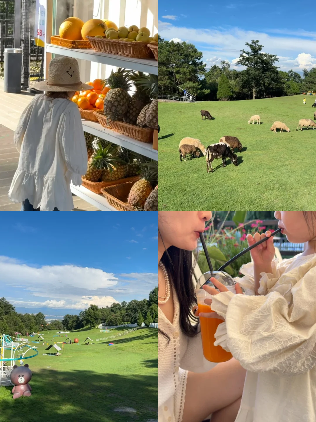 带娃去大理 不费妈的旅游攻略（一）🔥