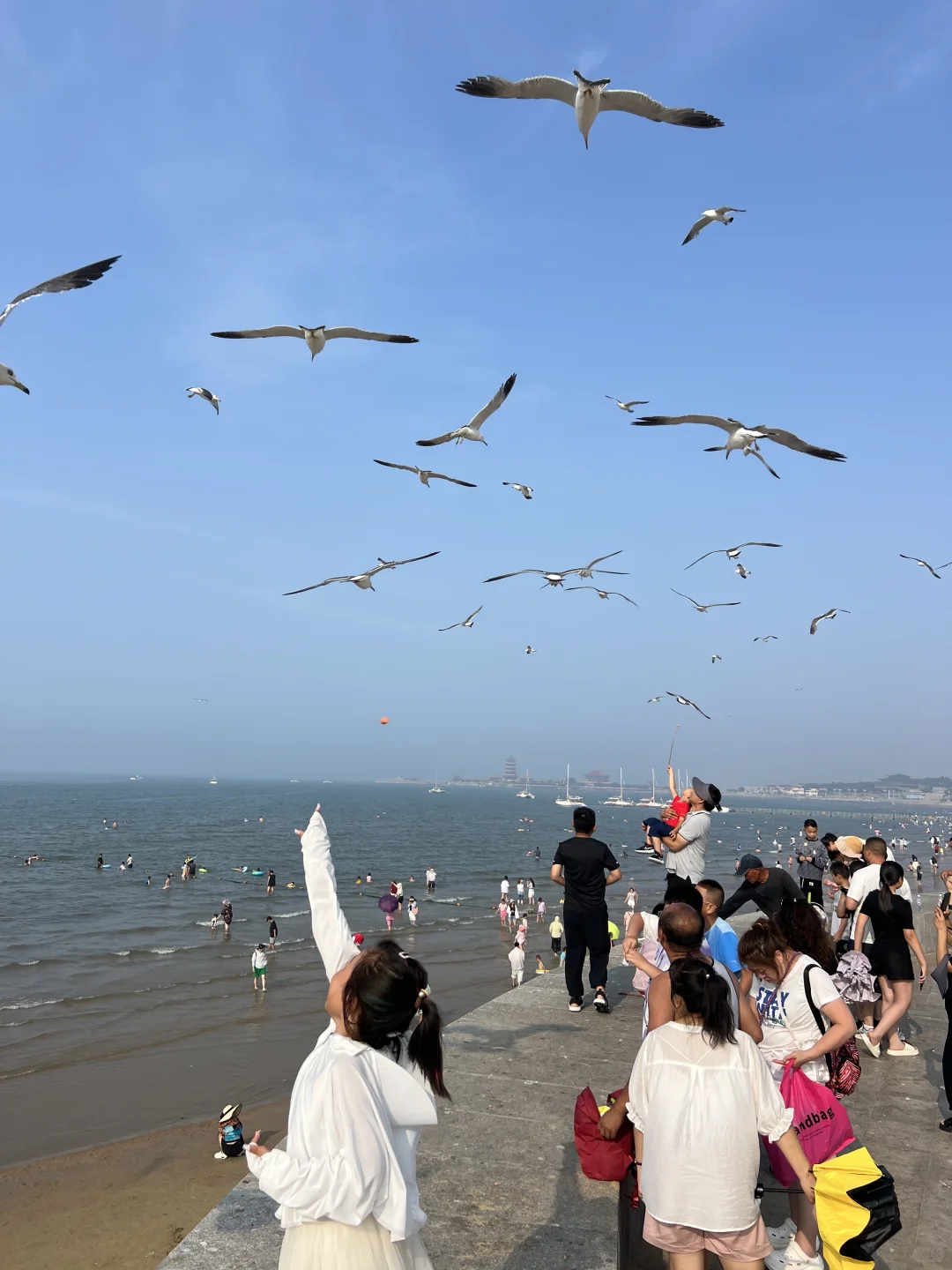 第一次来烟台蓬莱，❶日游路线赶紧码住呀‼️