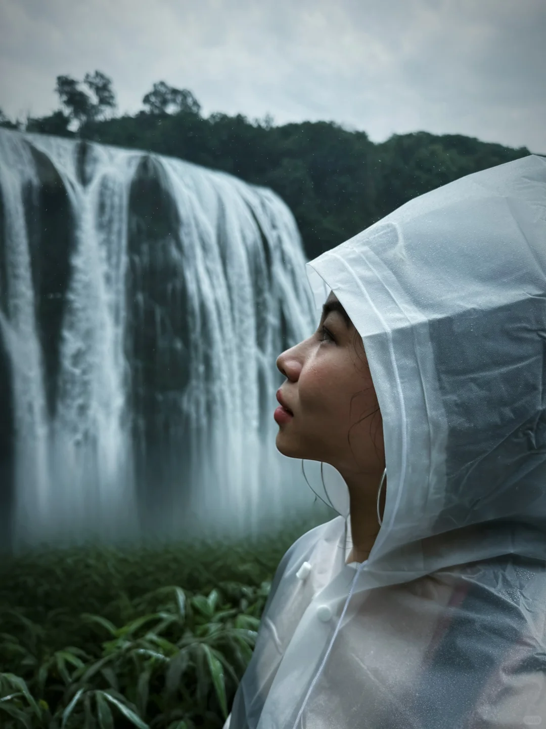 语文课本没有骗我！但也没告诉我…