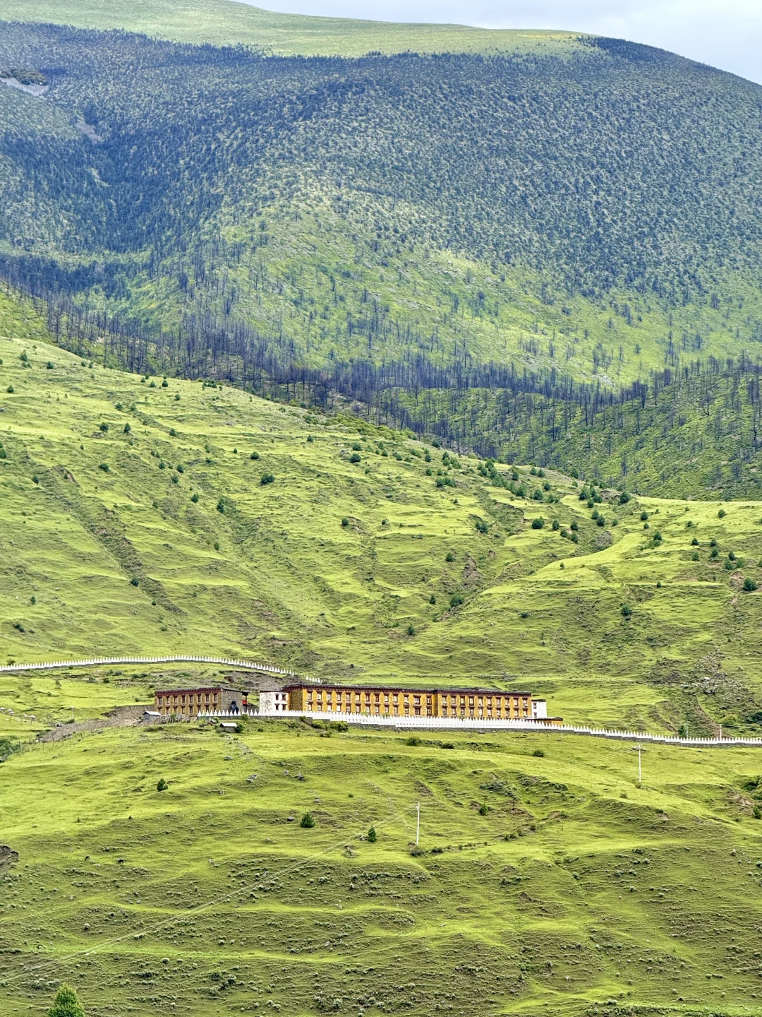 神级Live｜这就是川西夏天的含金量