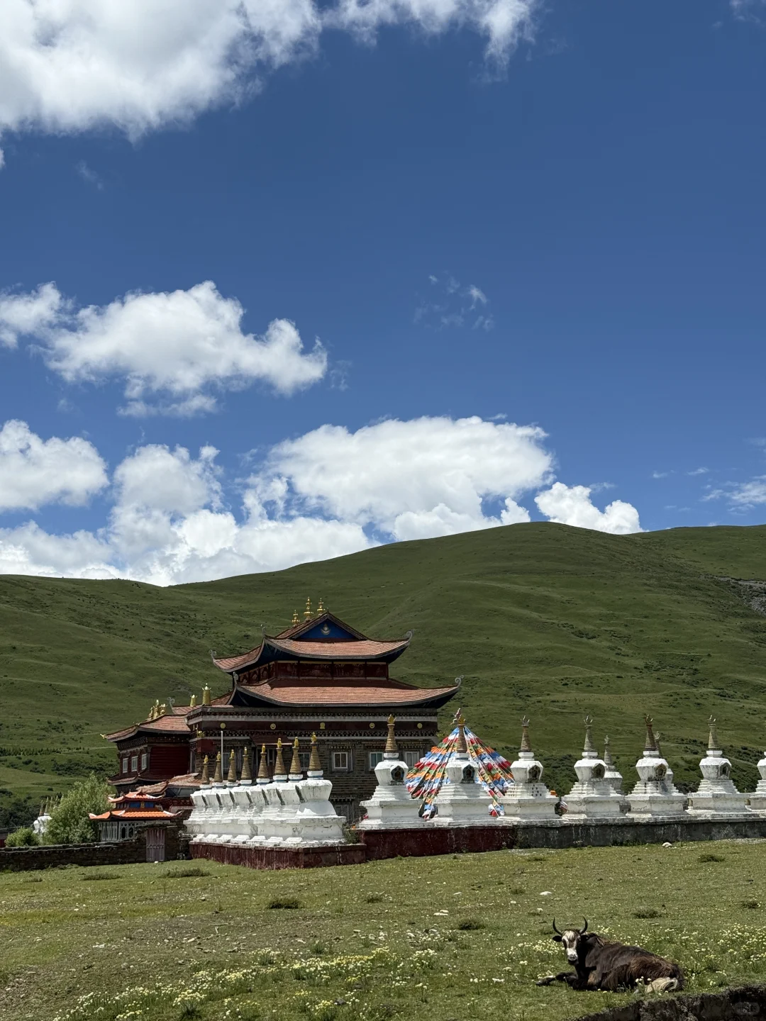 神级Live｜这就是川西夏天的含金量