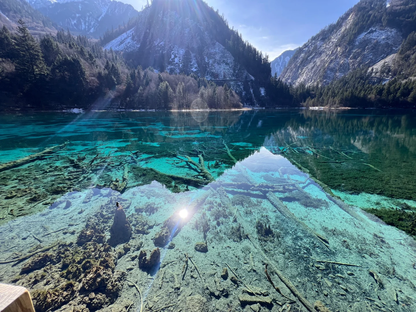 关于九寨沟💧大学生有话要说