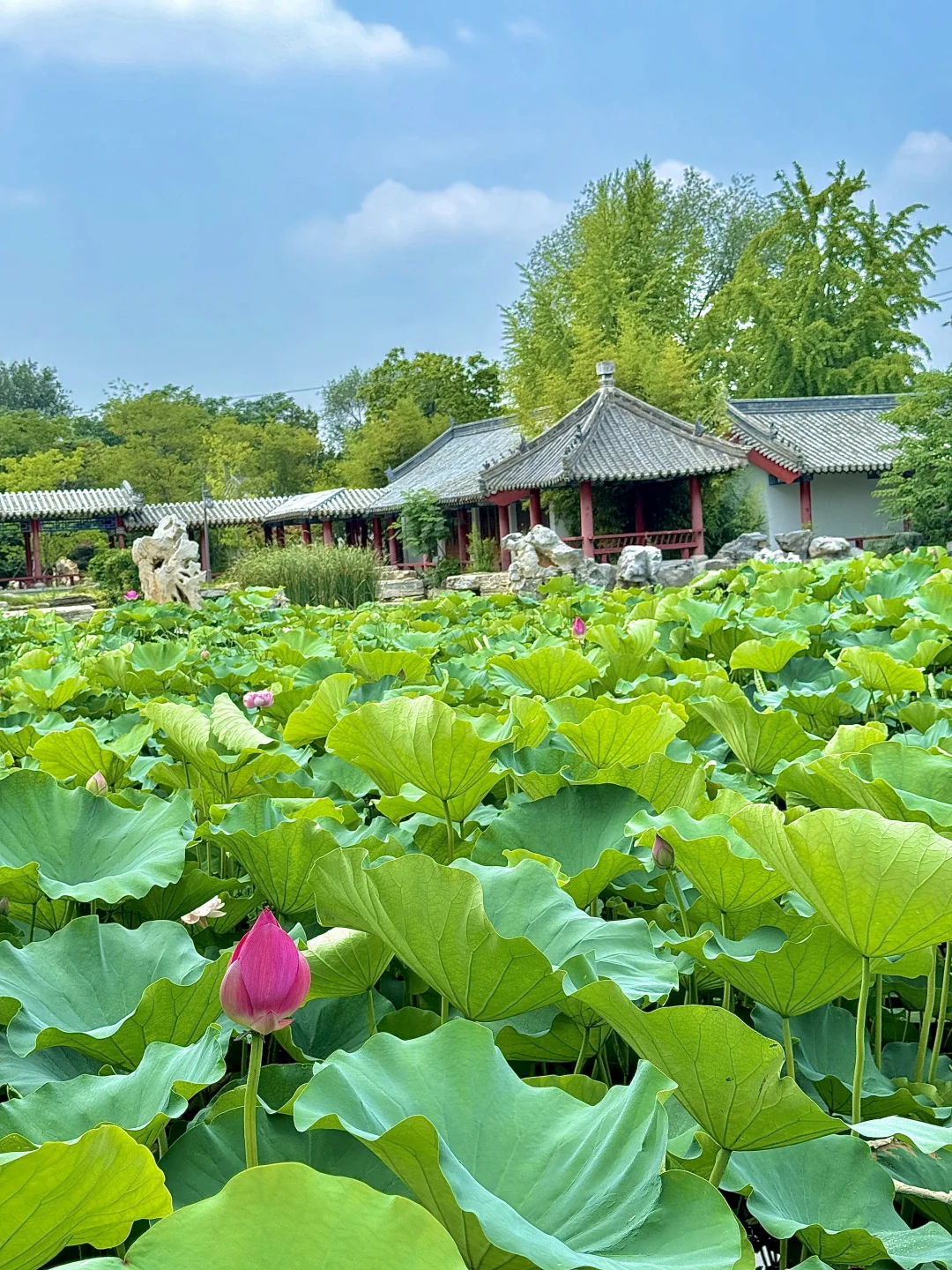 开封最值得看的景区！！没有之一！！！！