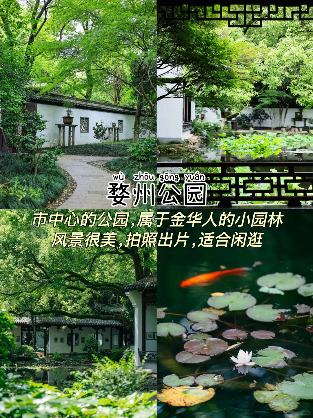 金华📍两天一夜，不废腿版保姆级逛吃攻略‼️