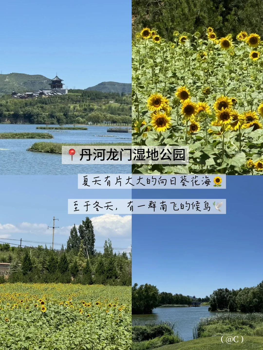 晋城免费好去处！本地人喜欢去这里！