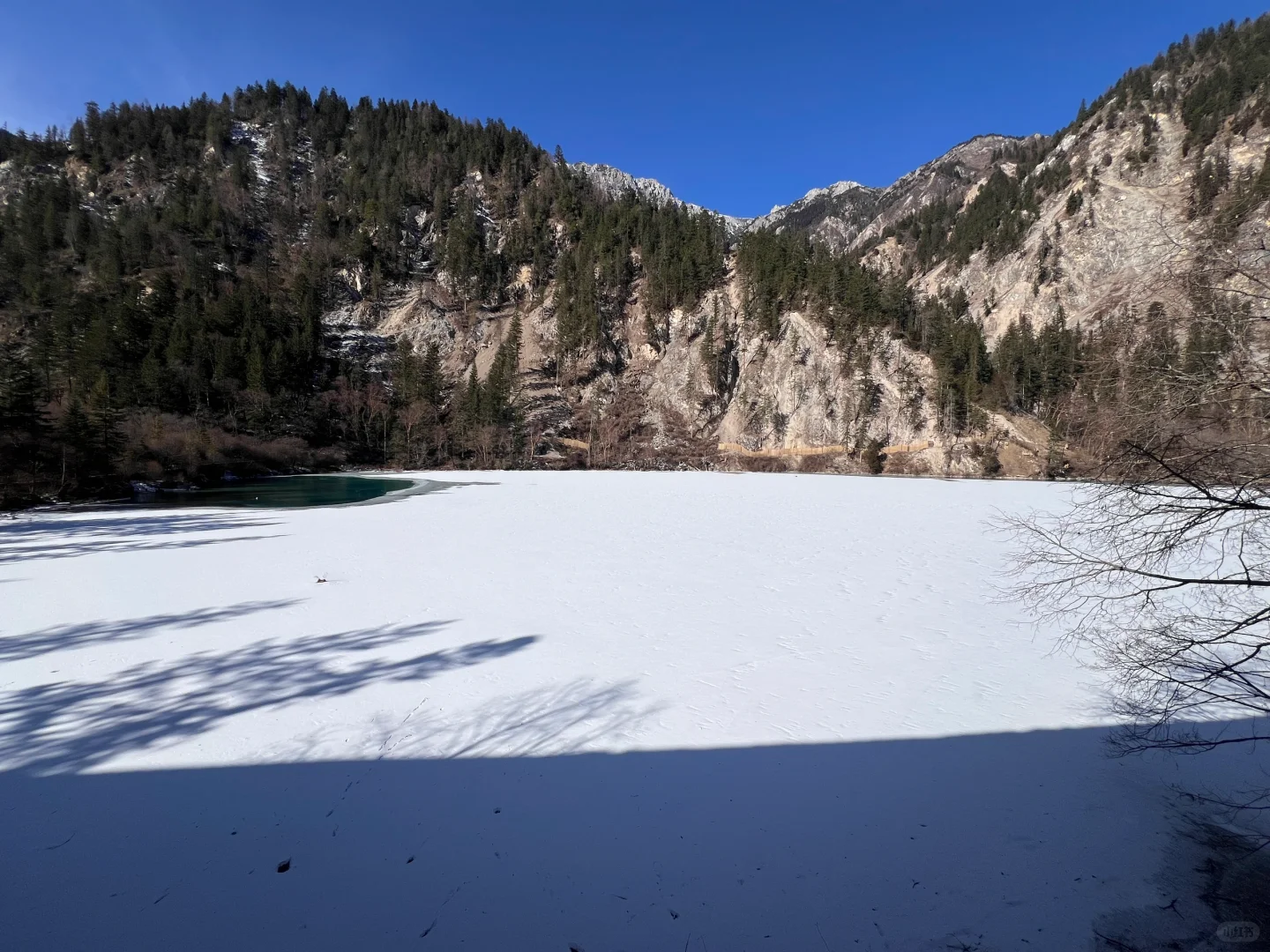关于九寨沟💧大学生有话要说