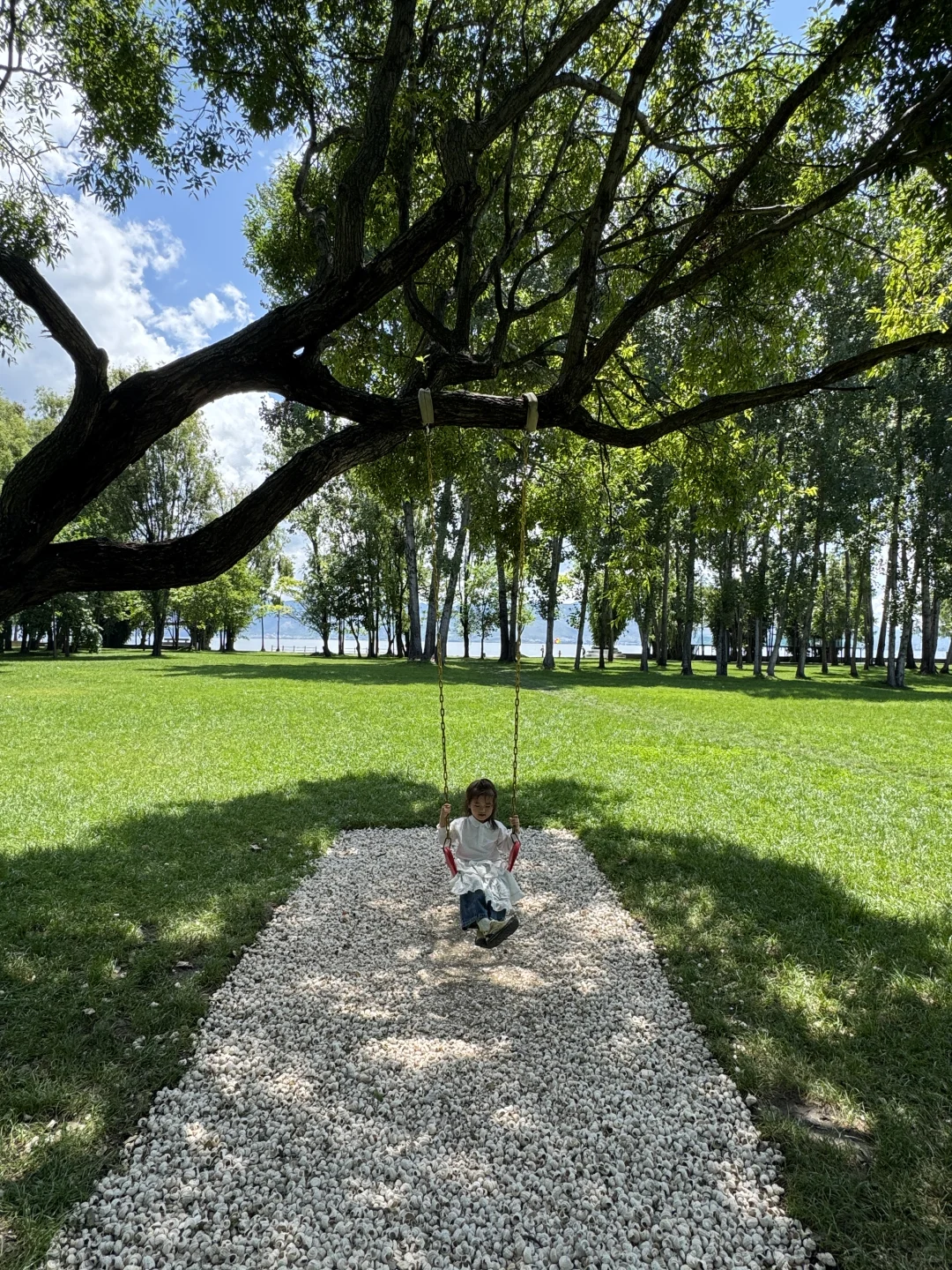 带娃去大理 不费妈的旅游攻略（一）🔥