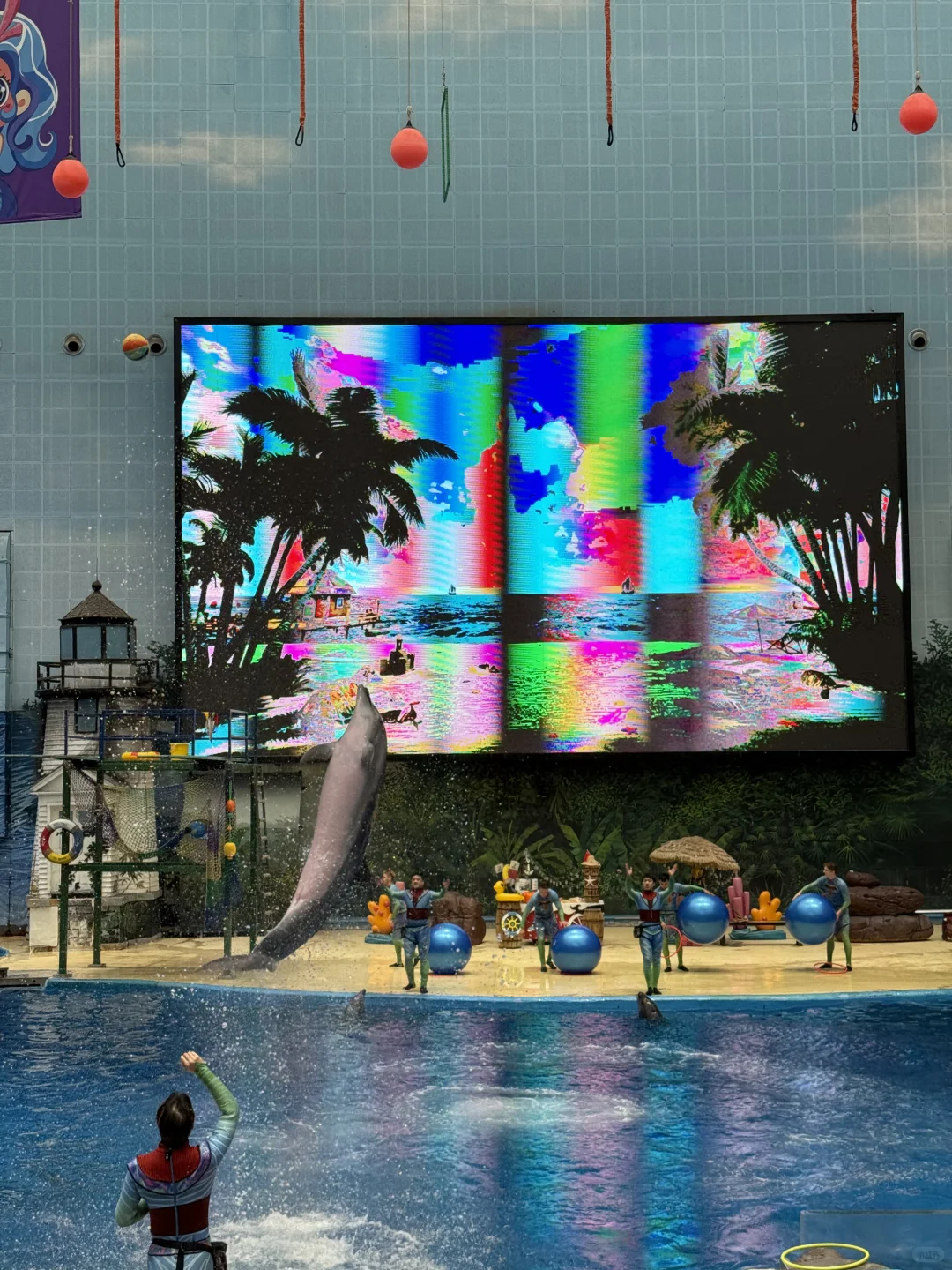 来天津极地海洋公园玩嗨了！