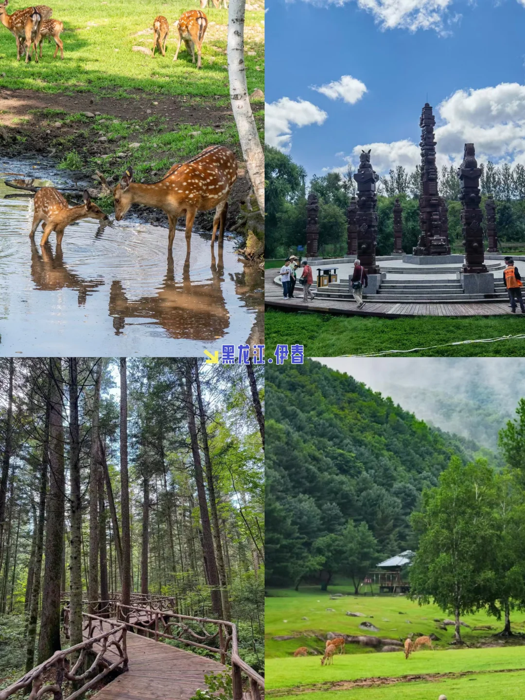 夏季避暑去哪？9个景美人少出片价低的小城