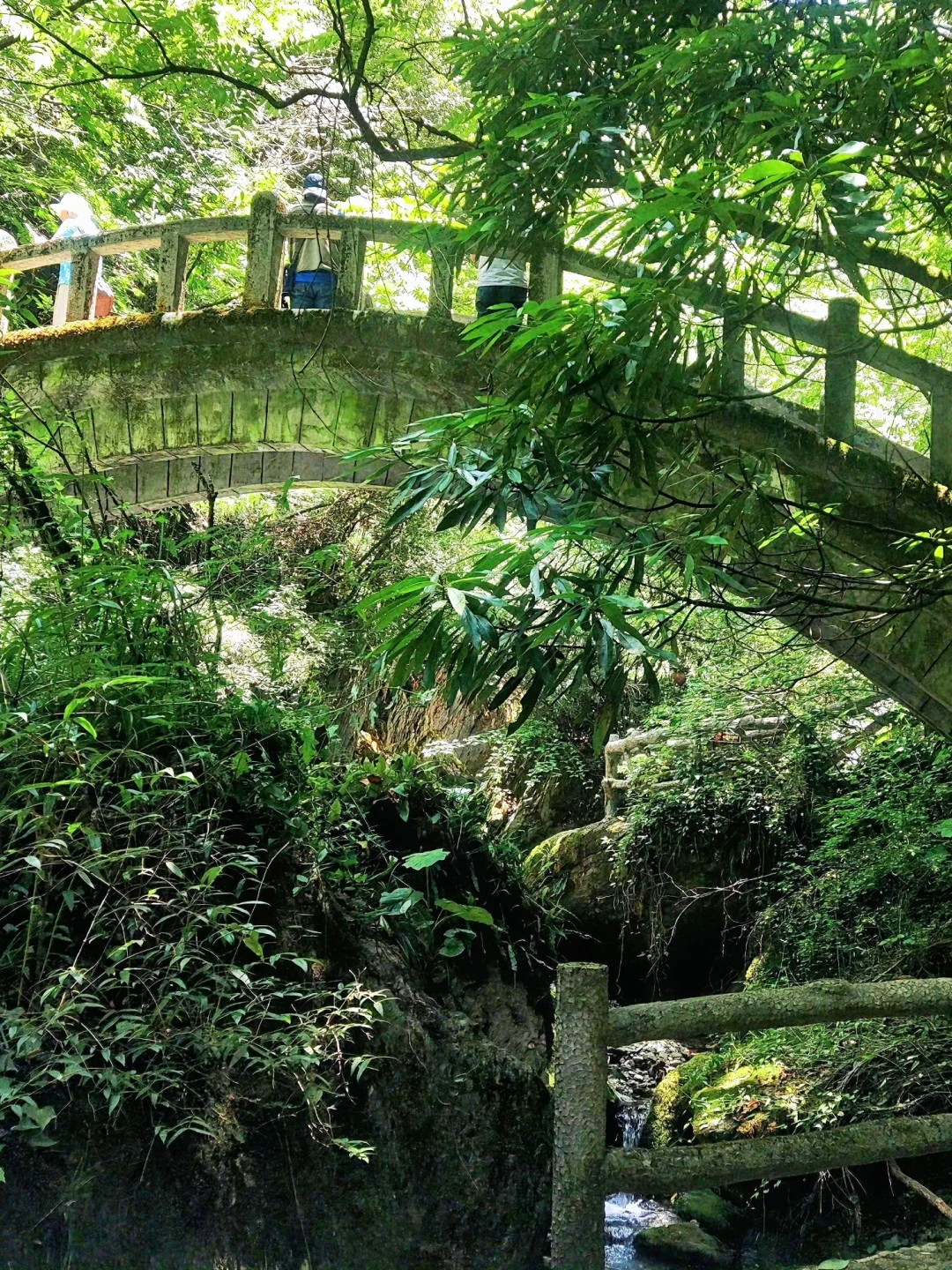 躲进18℃神农架💦小众无人的避暑秘境