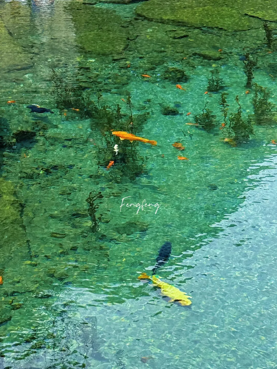 邯郸黑龙洞免费果冻泉！亲子玩水+拍照封神地