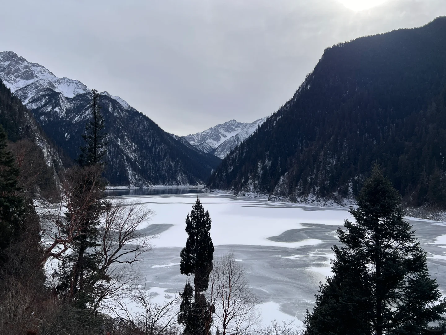 关于九寨沟💧大学生有话要说