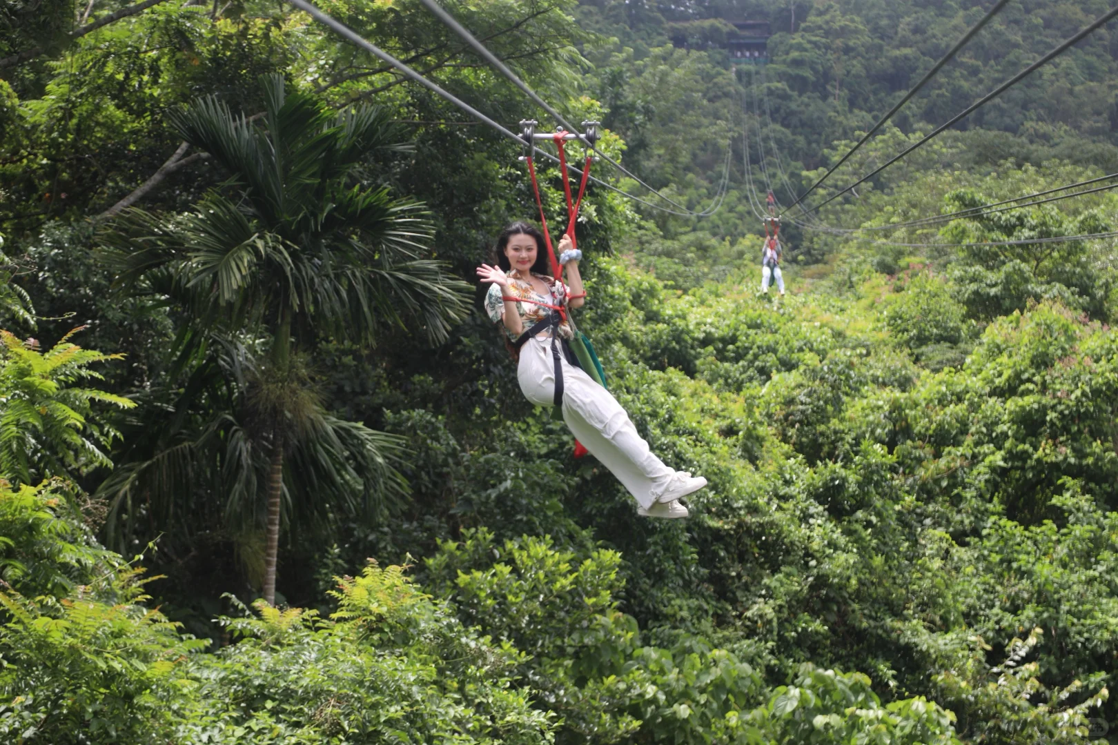 清凉海岛怎么玩？保亭超绝热带雨林了解一下！