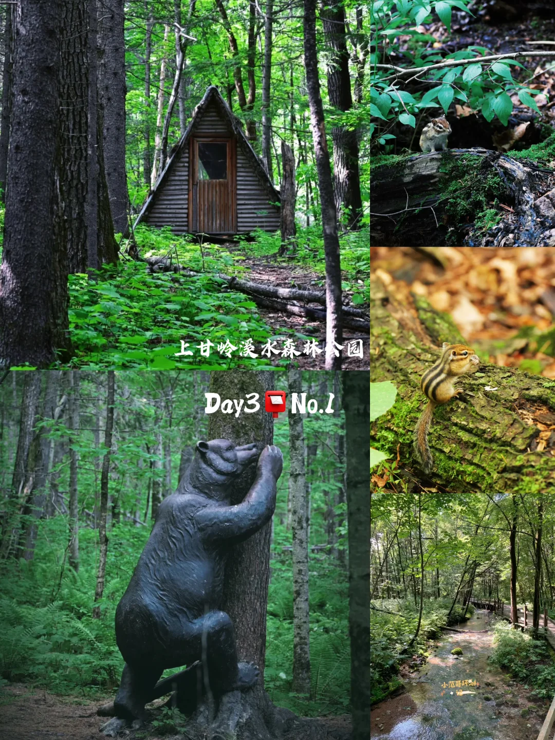 一年去100座城市🎉第98站📍 伊春✅