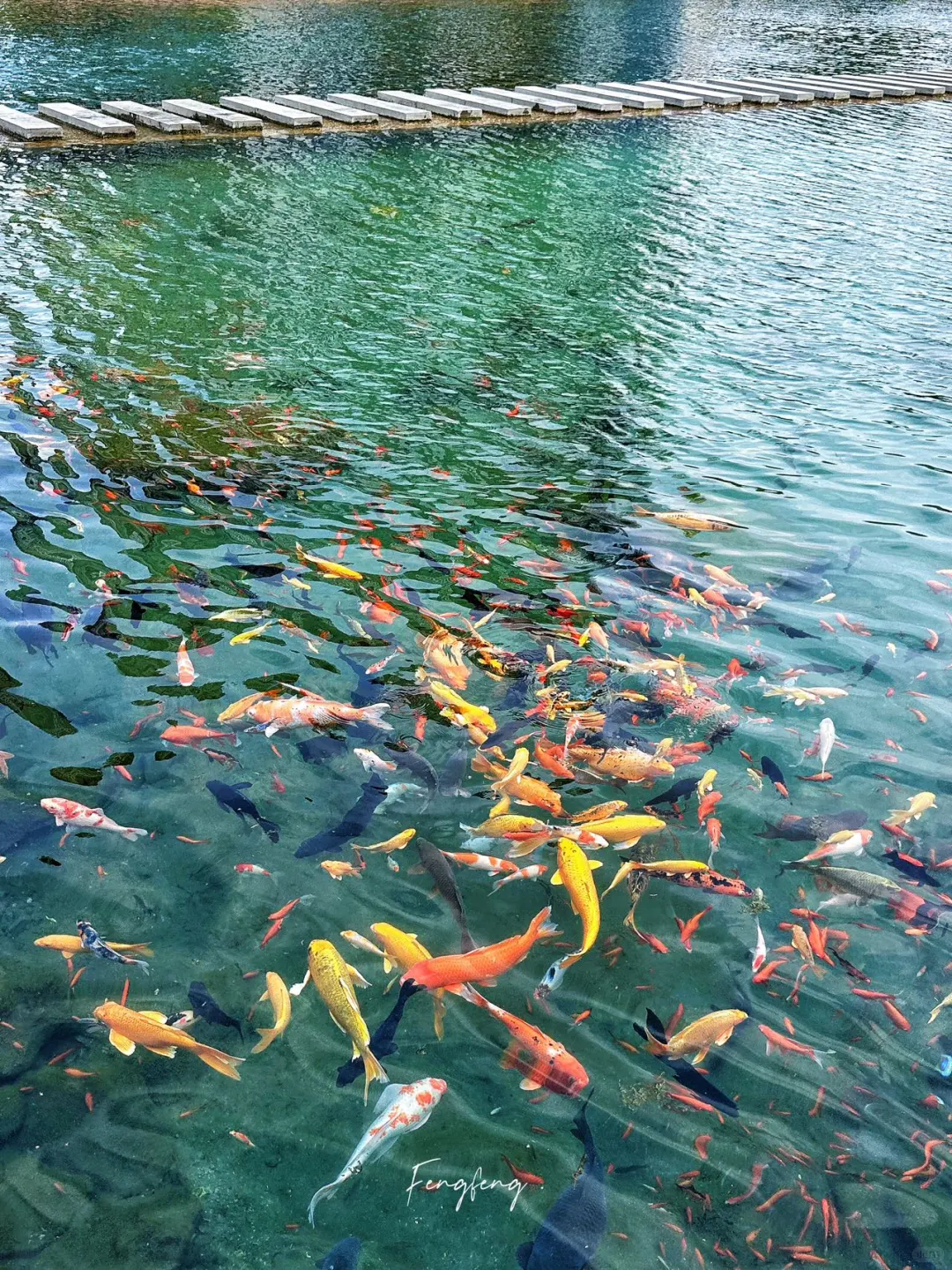 邯郸黑龙洞免费果冻泉！亲子玩水+拍照封神地