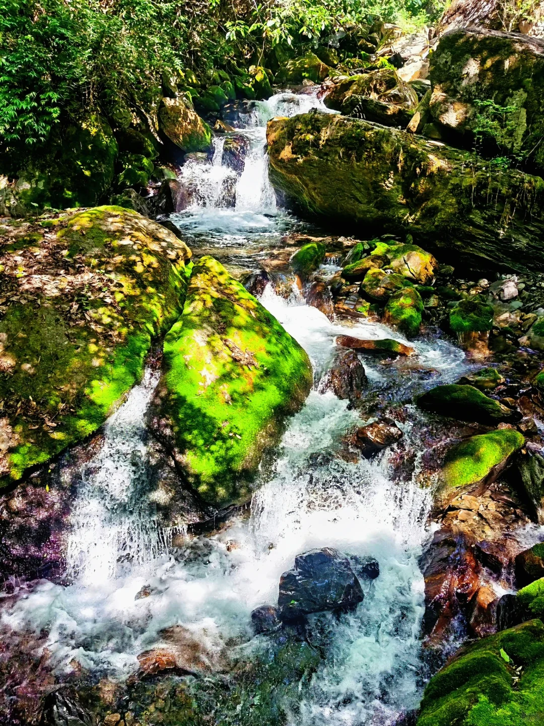 躲进18℃神农架💦小众无人的避暑秘境