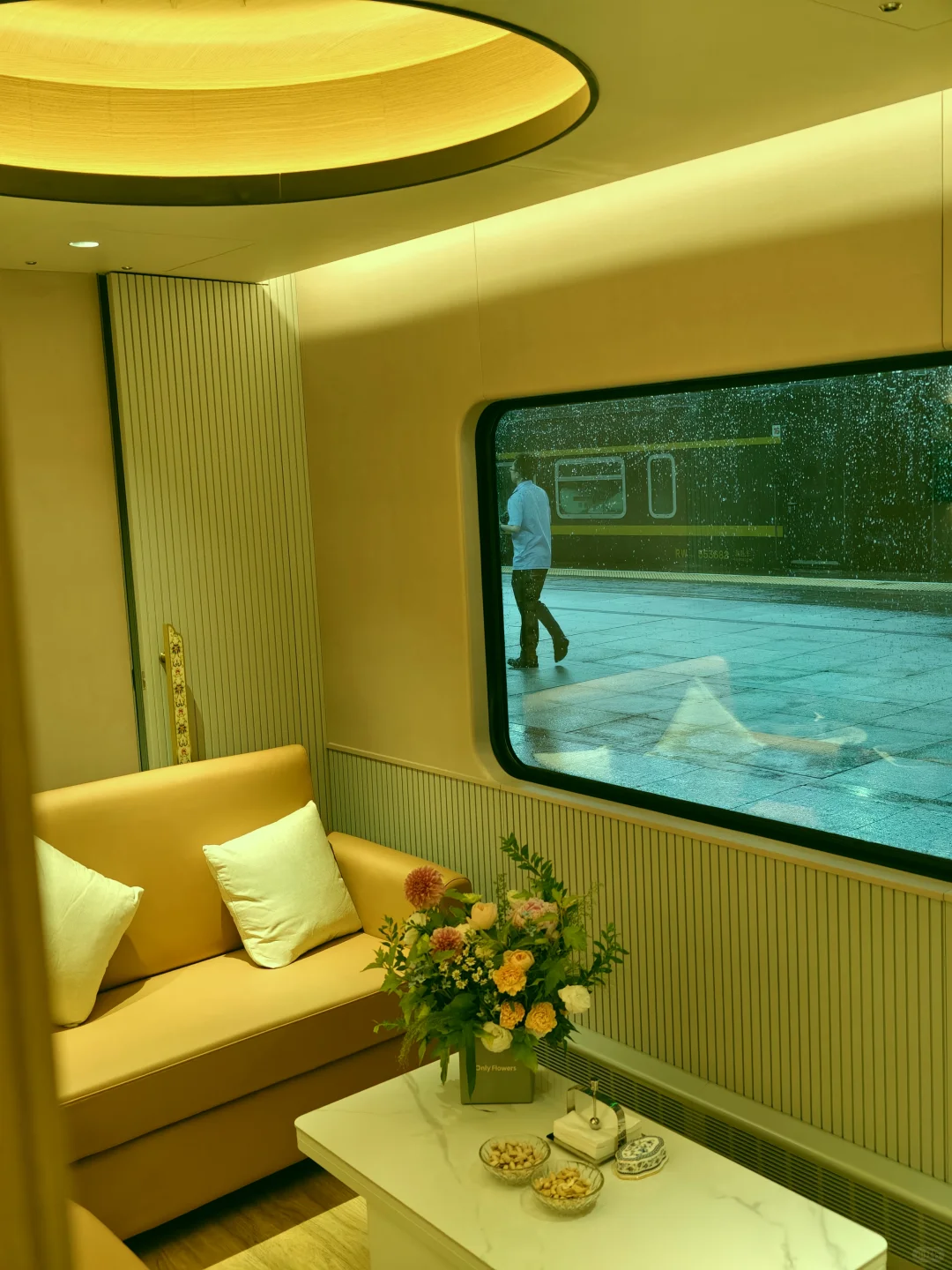 就在国内，我翘首以盼的全景列车终于出现