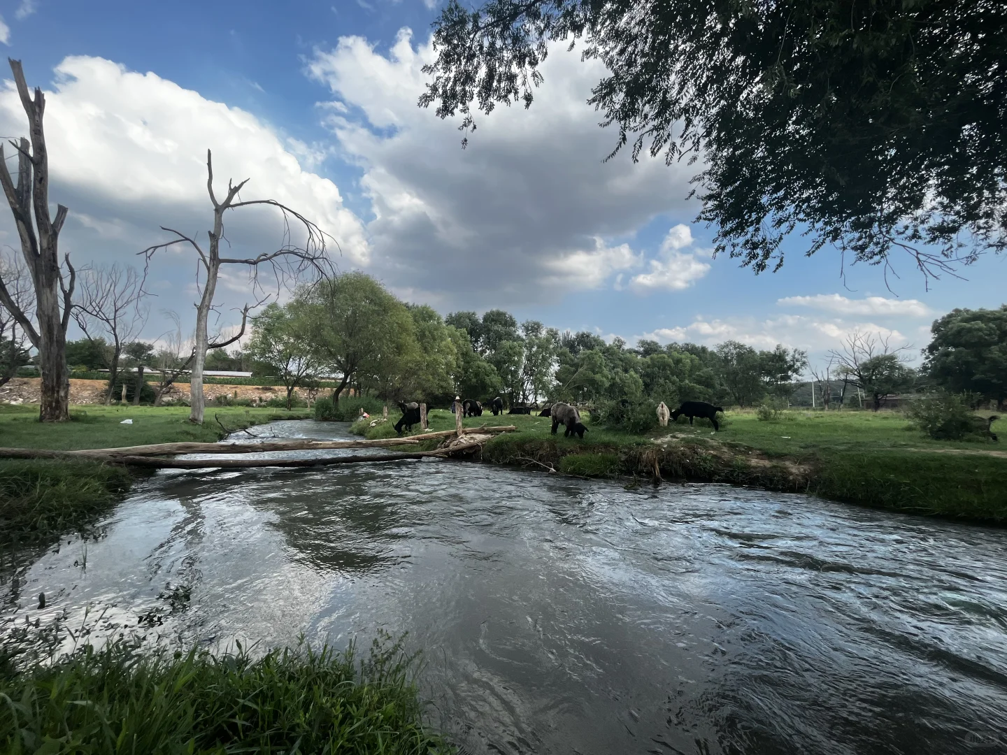 属于河北人自己的阿勒泰