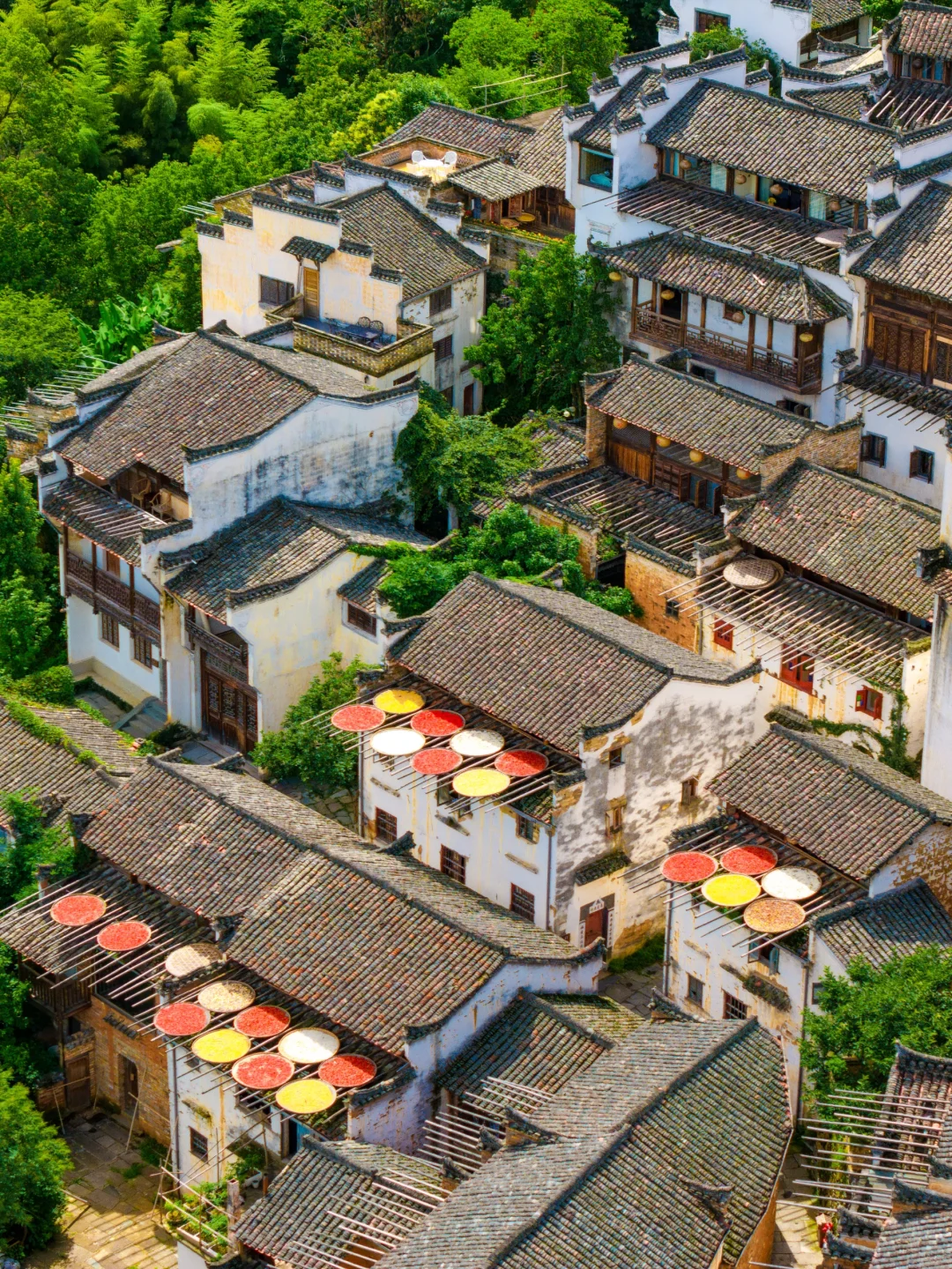 不愧是《国家地理》推荐的小城！美哭了😭