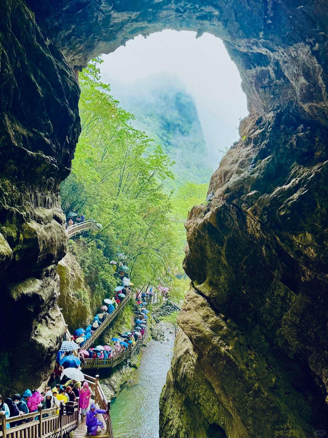 神农架 | 漫步迷雾森林，解锁华中屋脊的神秘