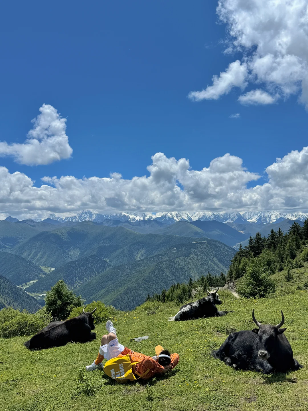 神级Live｜这就是川西夏天的含金量