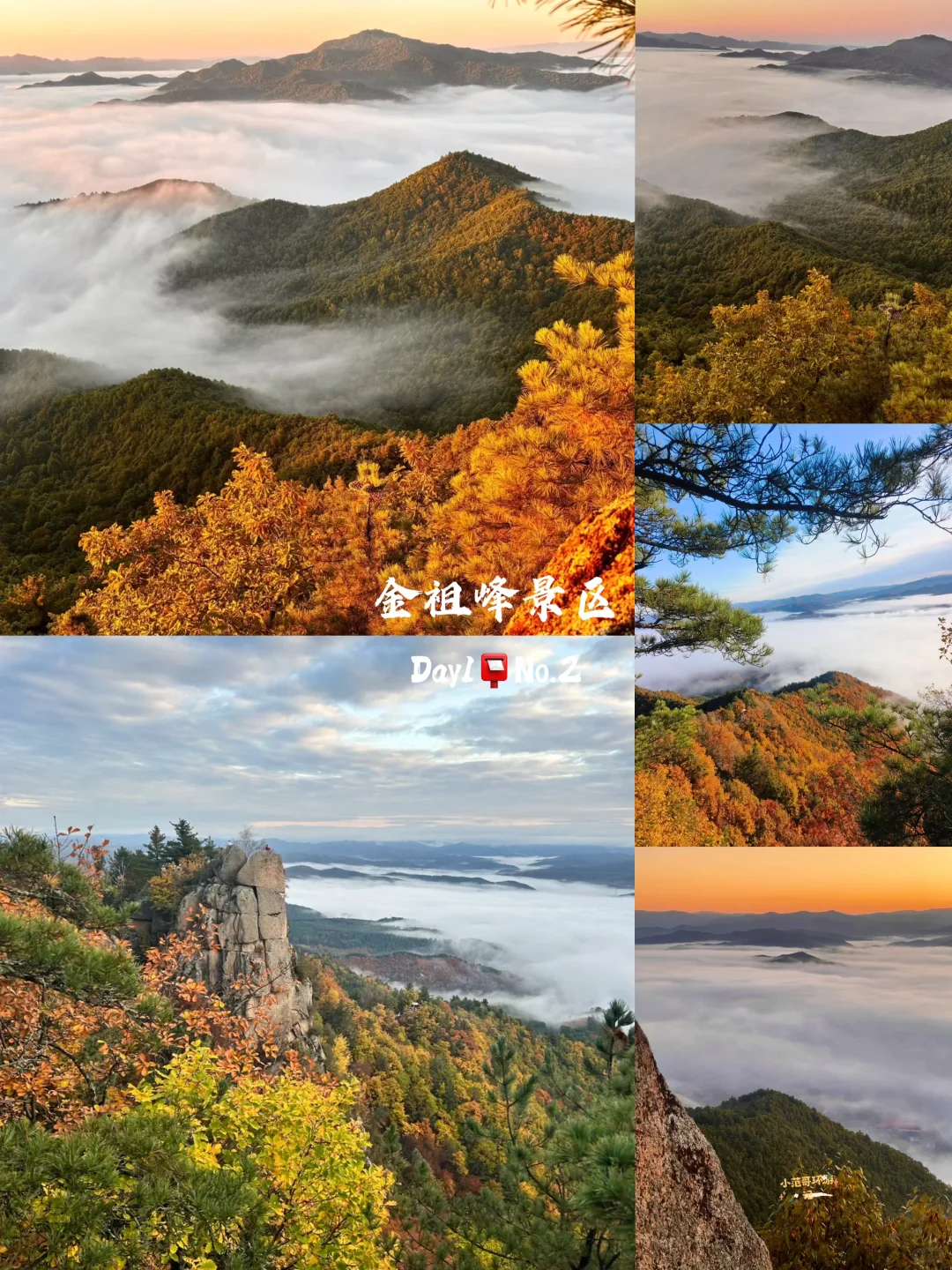 一年去100座城市🎉第98站📍 伊春✅