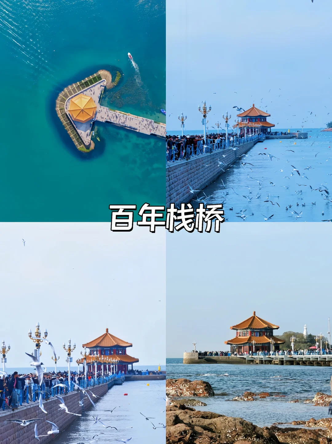 青岛烟台威海5天4晚神仙行程|人均1k+玩到爽