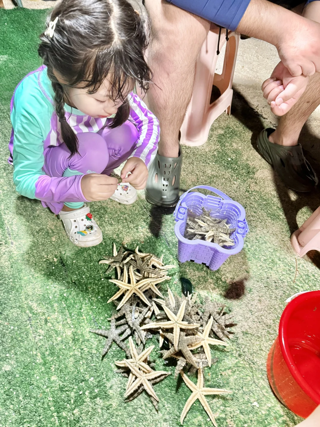 今年暑假，我只想带娃去一个地方：海南陵水