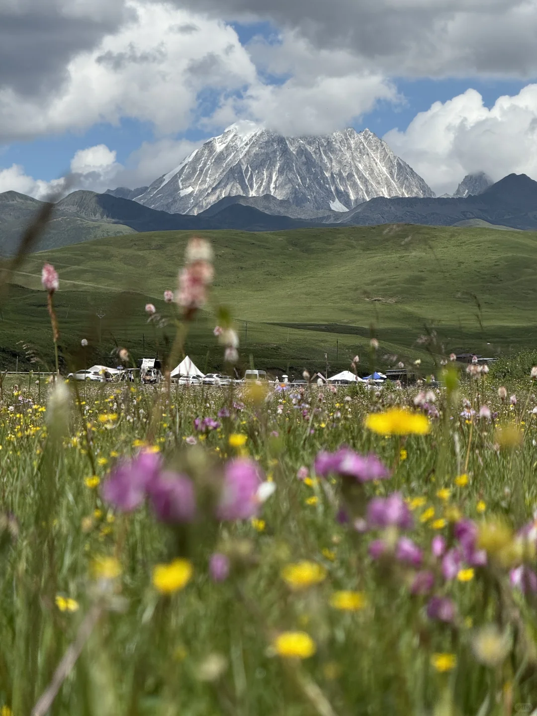 神级Live｜这就是川西夏天的含金量