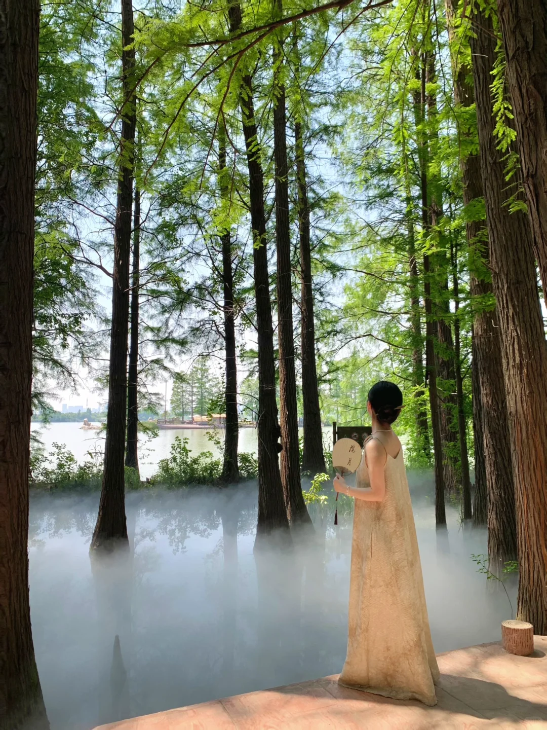 🌴在武汉…花得最值的13r（附N个机位详细攻略