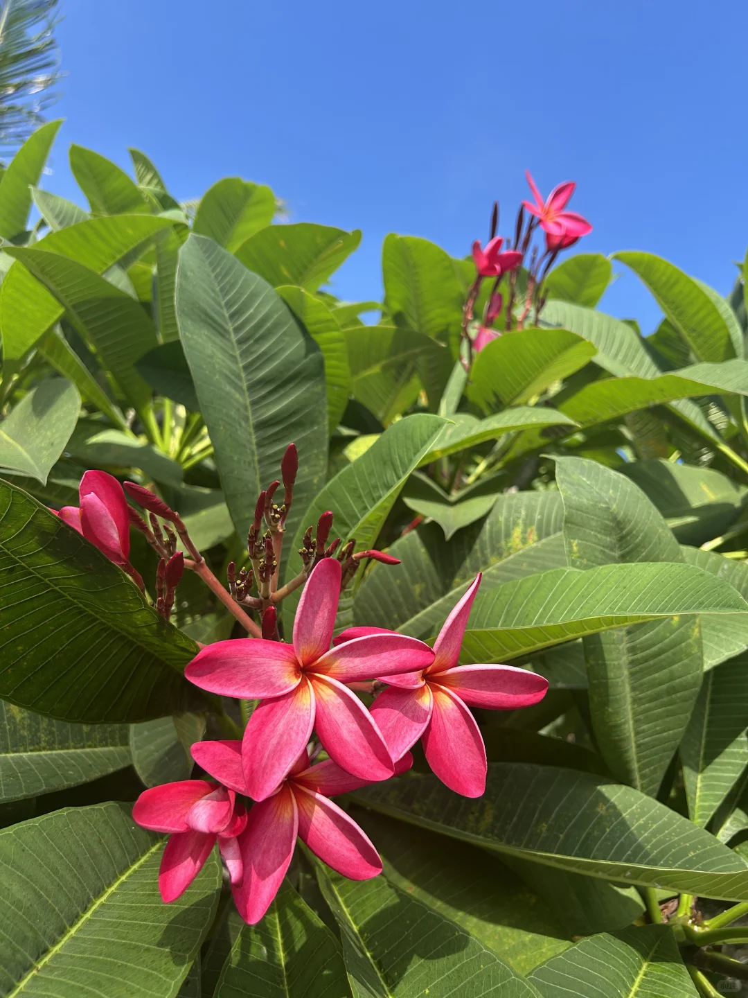 万宁4天躺平日记