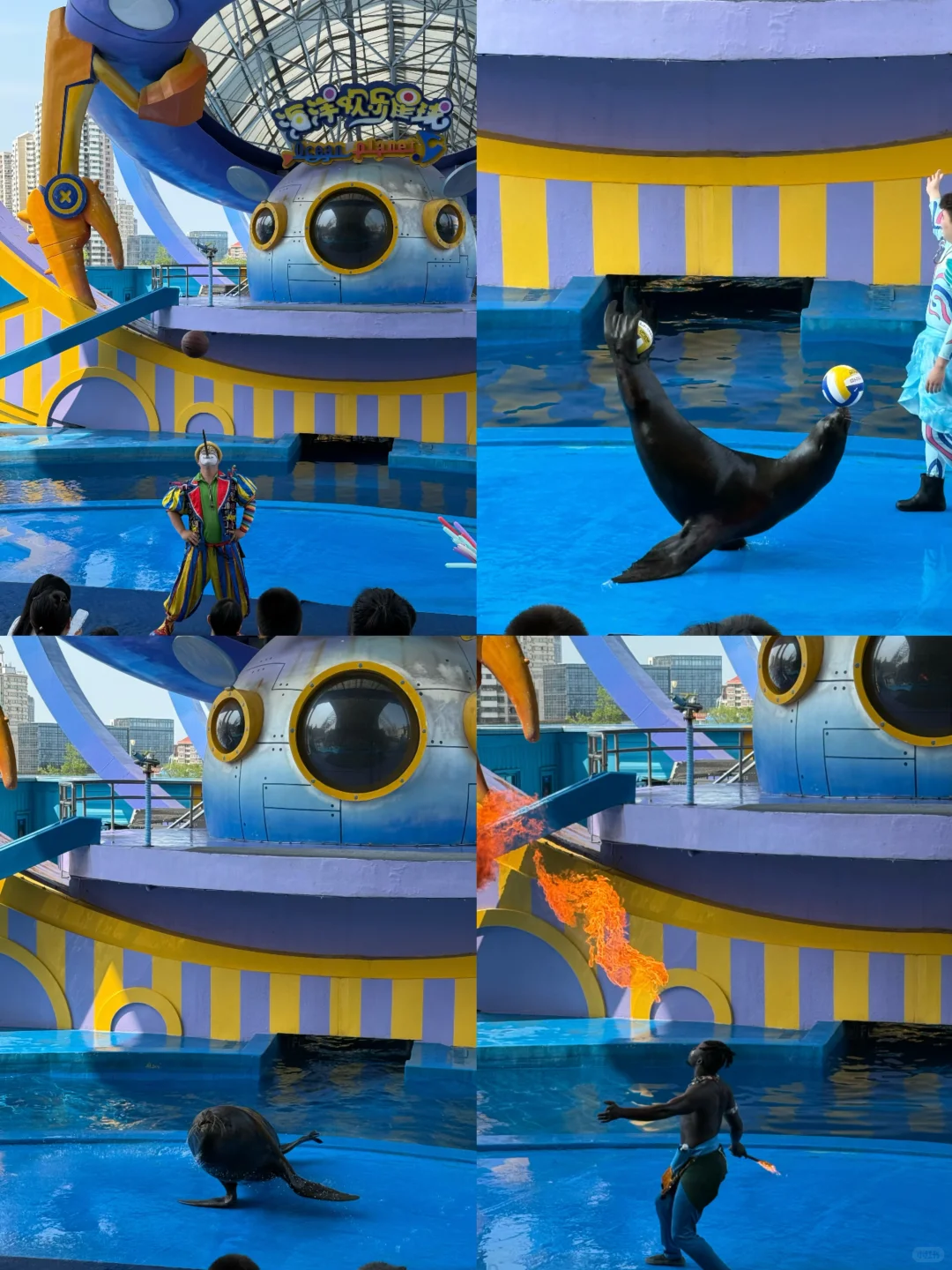来天津极地海洋公园玩嗨了！