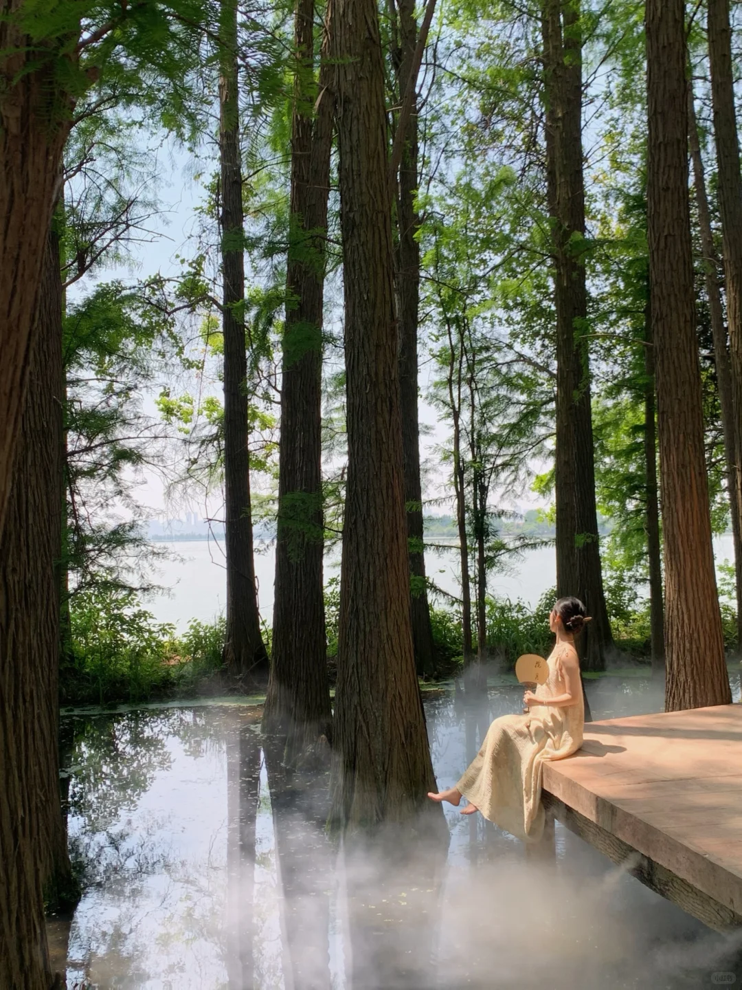 🌴在武汉…花得最值的13r（附N个机位详细攻略