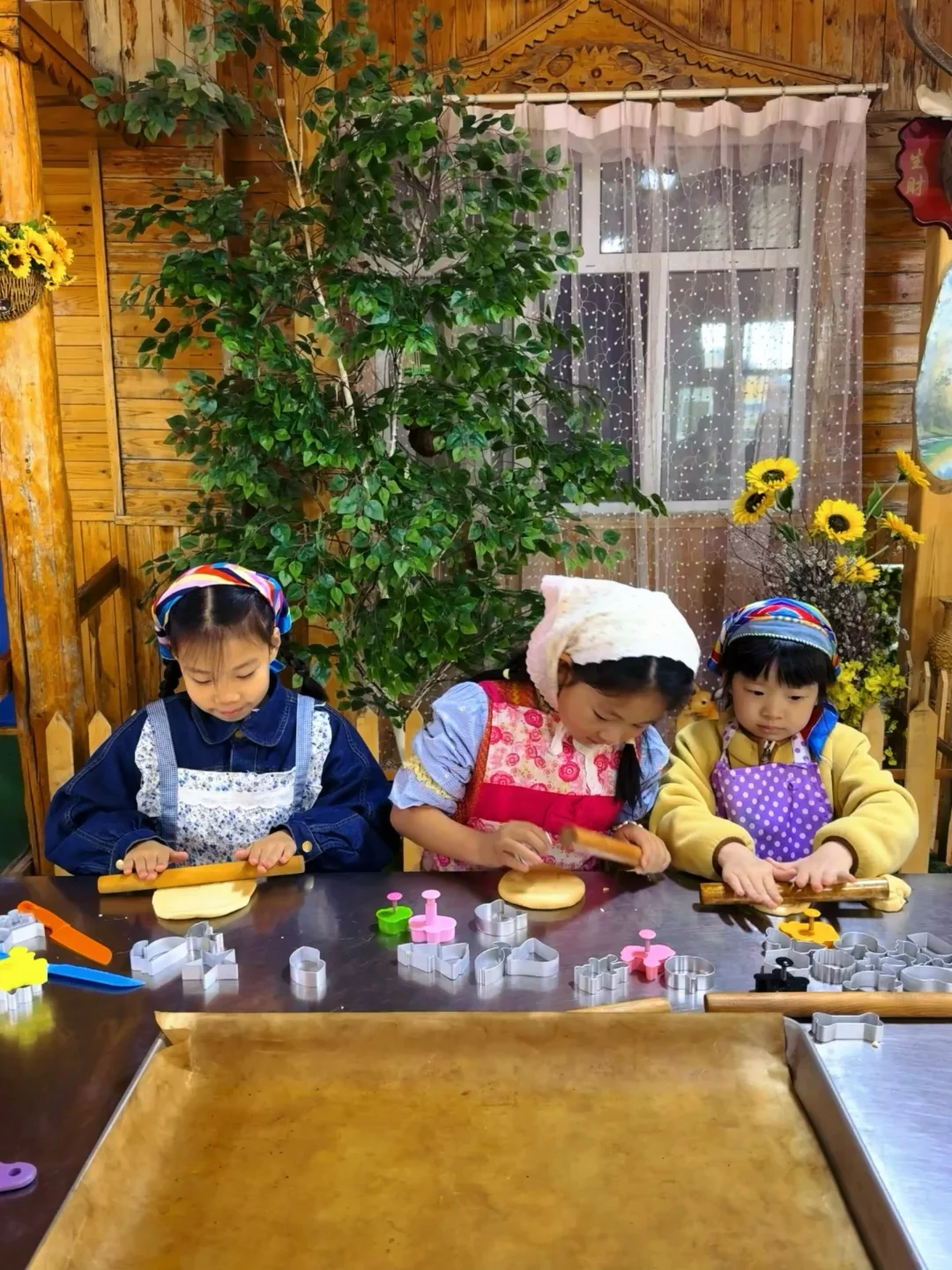 Live图|呼伦贝尔太适合带小胖友来玩了吧~