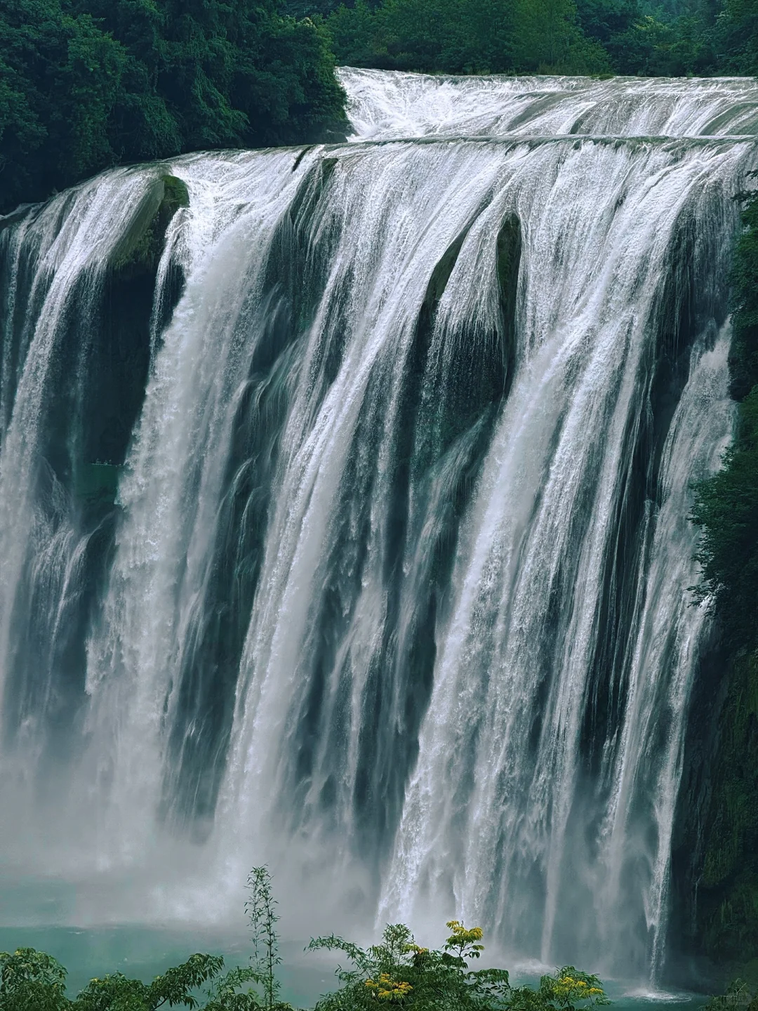 语文课本没有骗我！但也没告诉我…