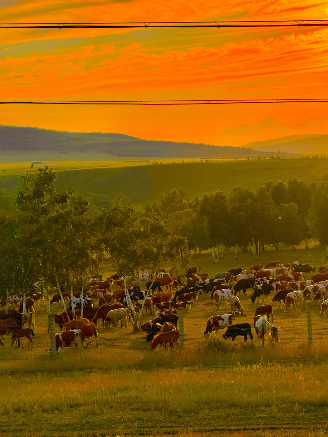 呼伦贝尔晚霞杀疯了！！！！！！！