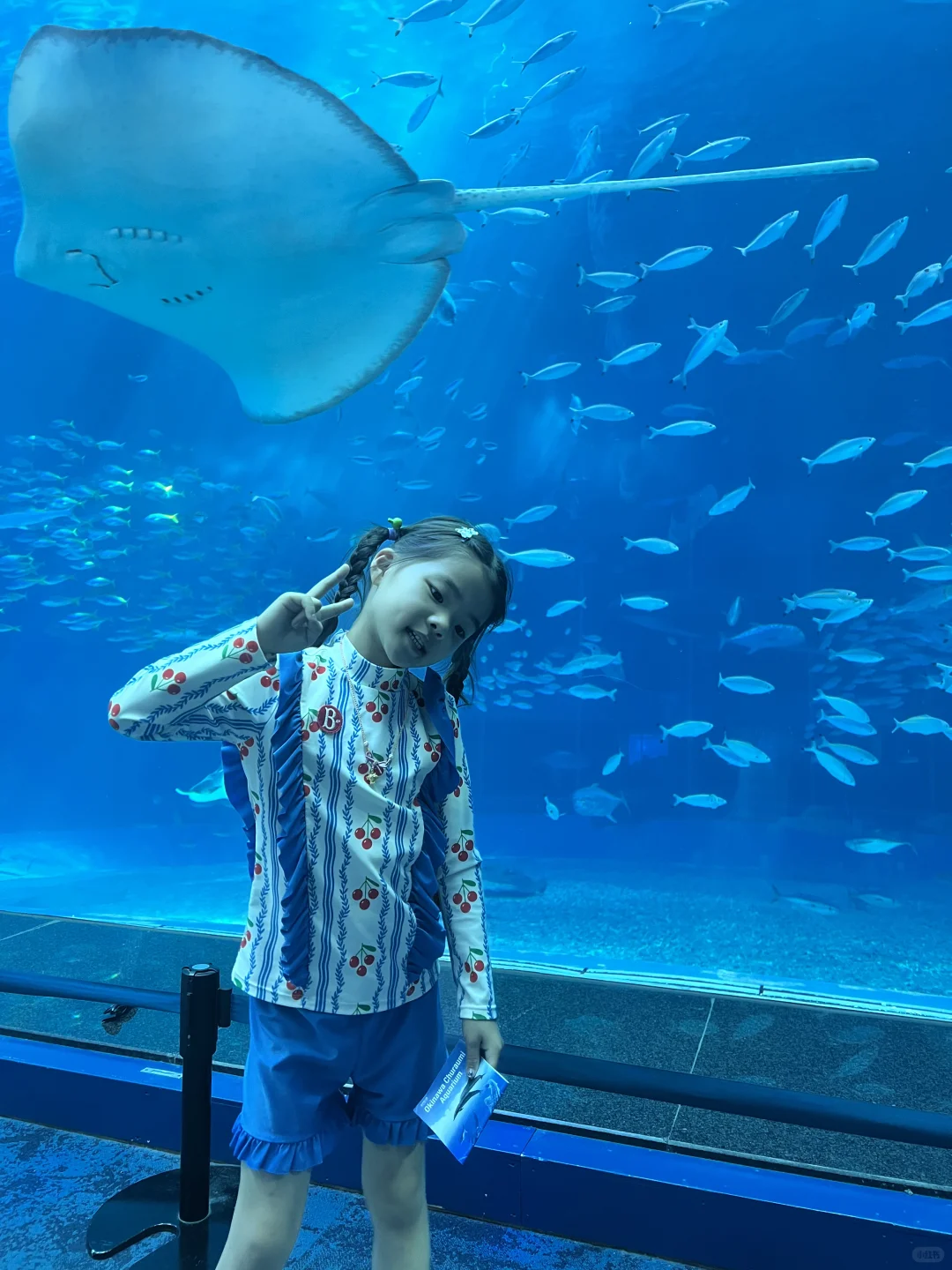 上海直飞一个小时40分钟的遛娃胜地