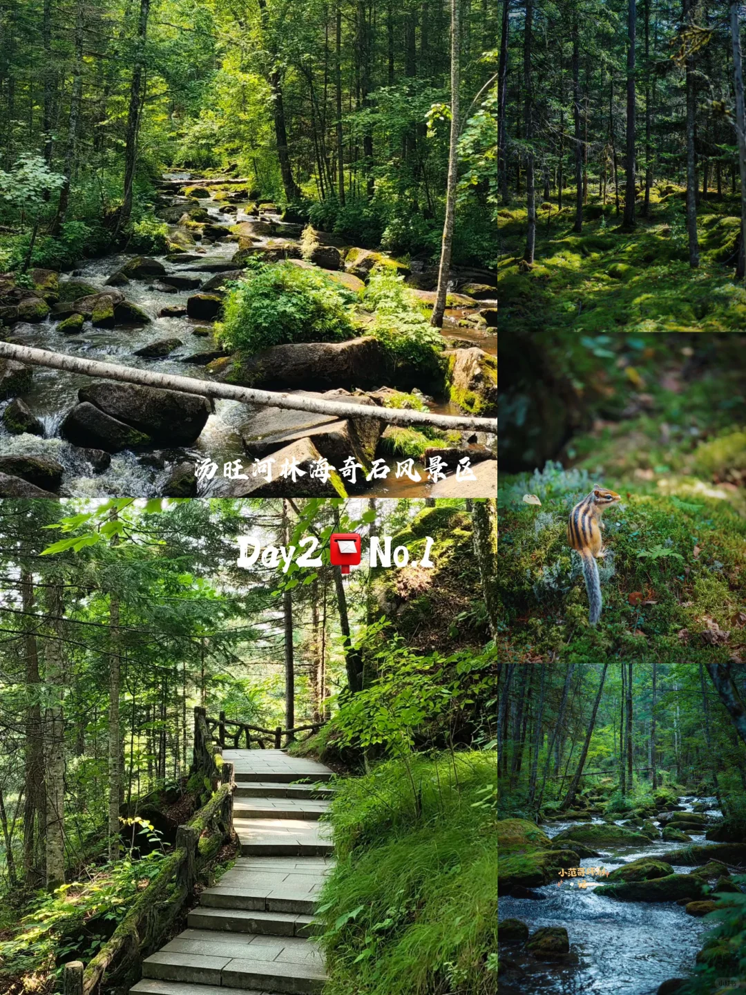 一年去100座城市🎉第98站📍 伊春✅