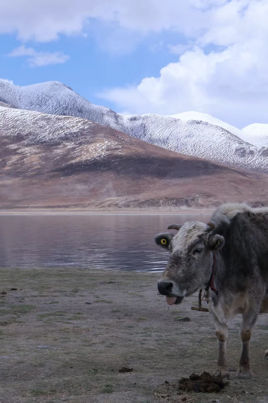 女儿一个人的西藏旅游