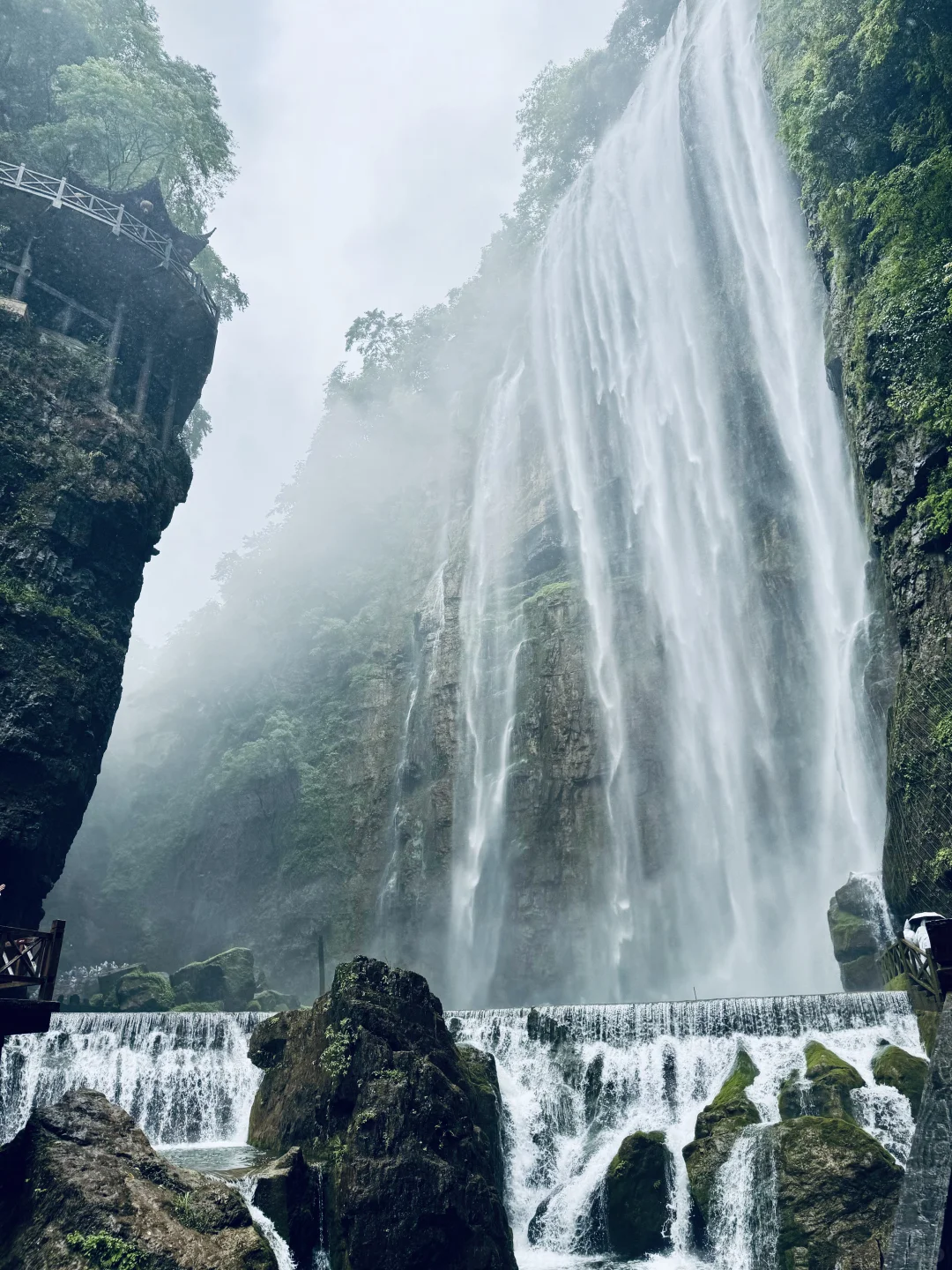 神农架 | 漫步迷雾森林，解锁华中屋脊的神秘