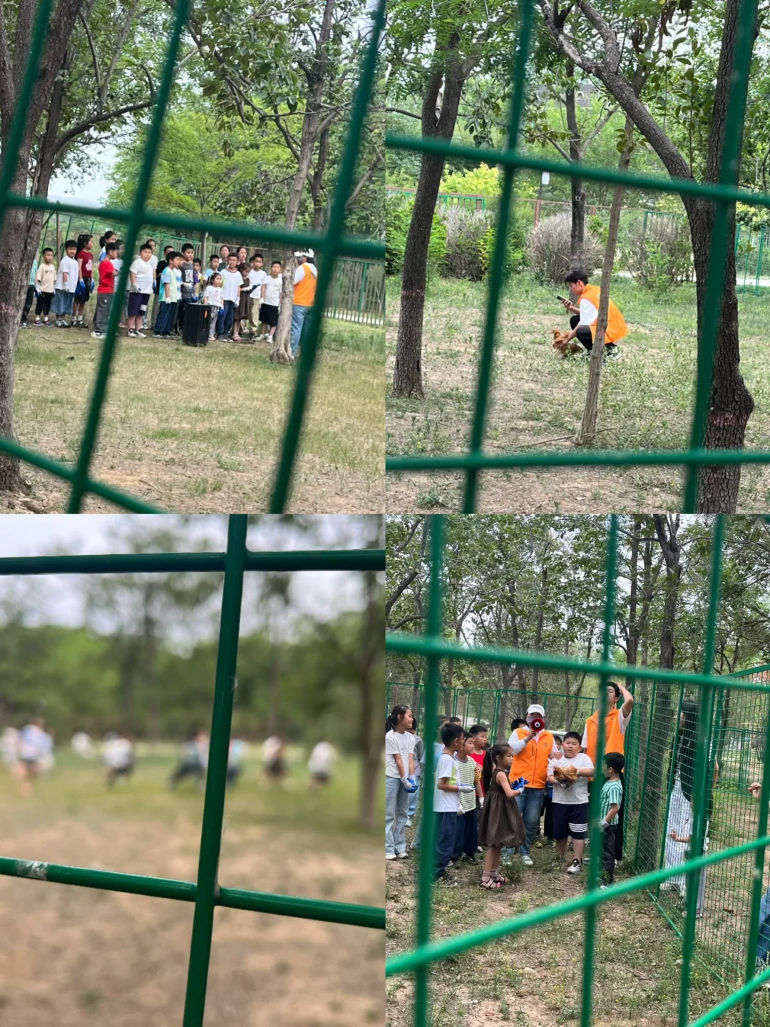 邯郸鹿尔花园半日游｜人均50+玩到爽！附真实