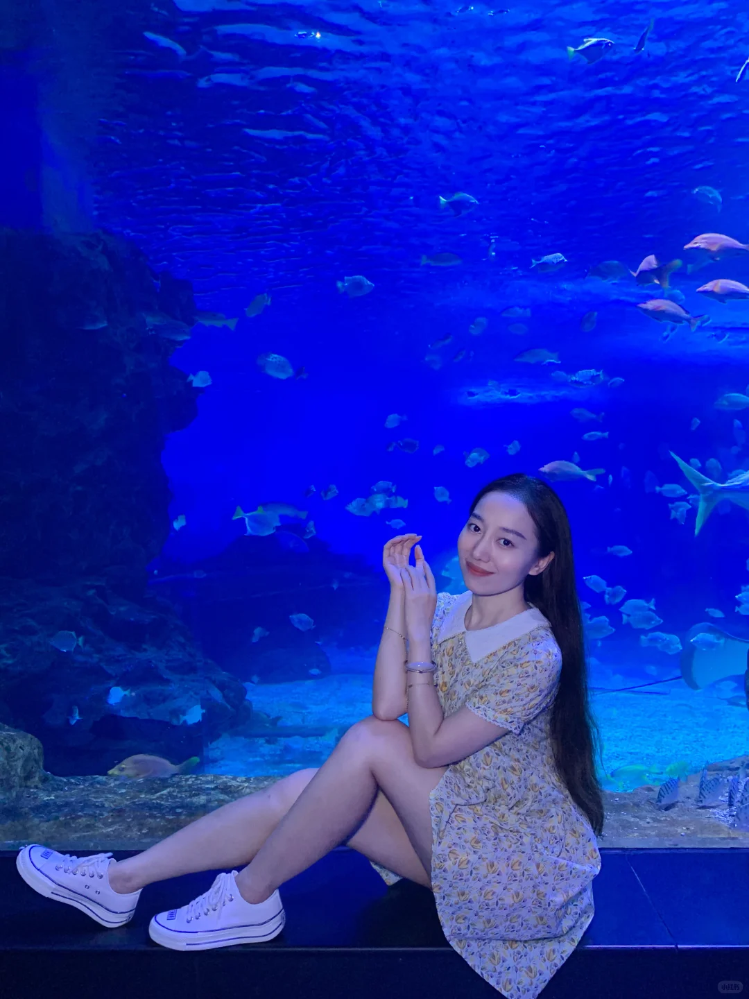 来天津极地海洋公园玩嗨了！