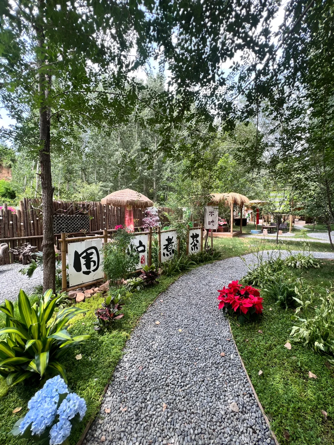 闯入童话夜世界✨邯郸抱香谷夜场超全攻略💦