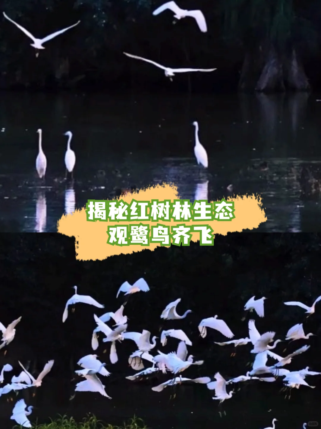 🌲暑假带娃去22°的海岛，真的比海南还震